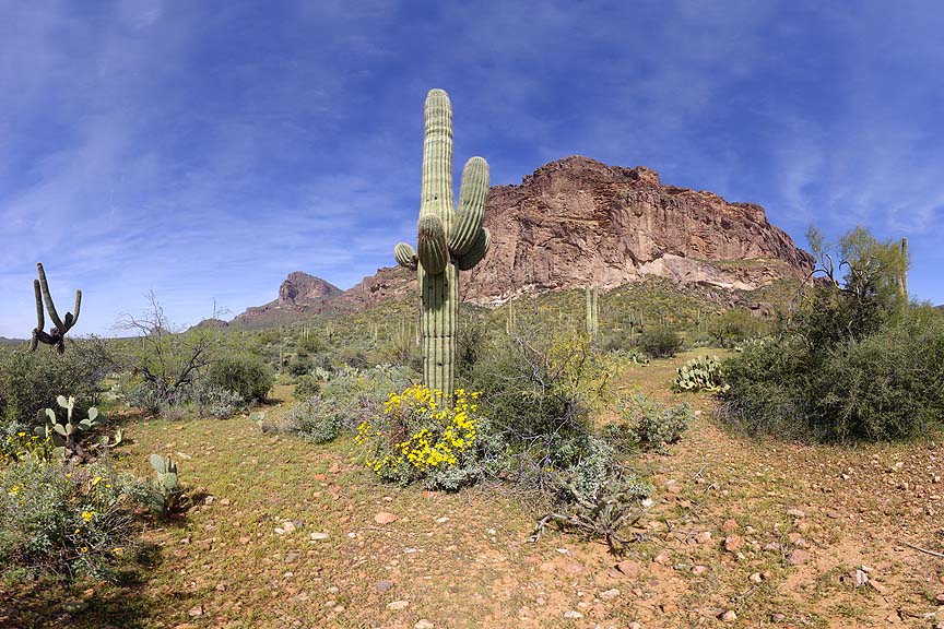 Superstition Mountains, March 19, 2013